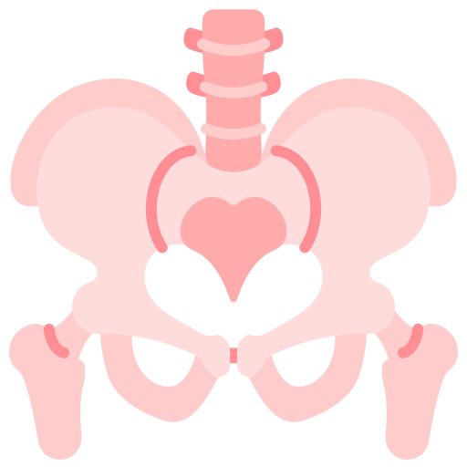 Hip Replacement